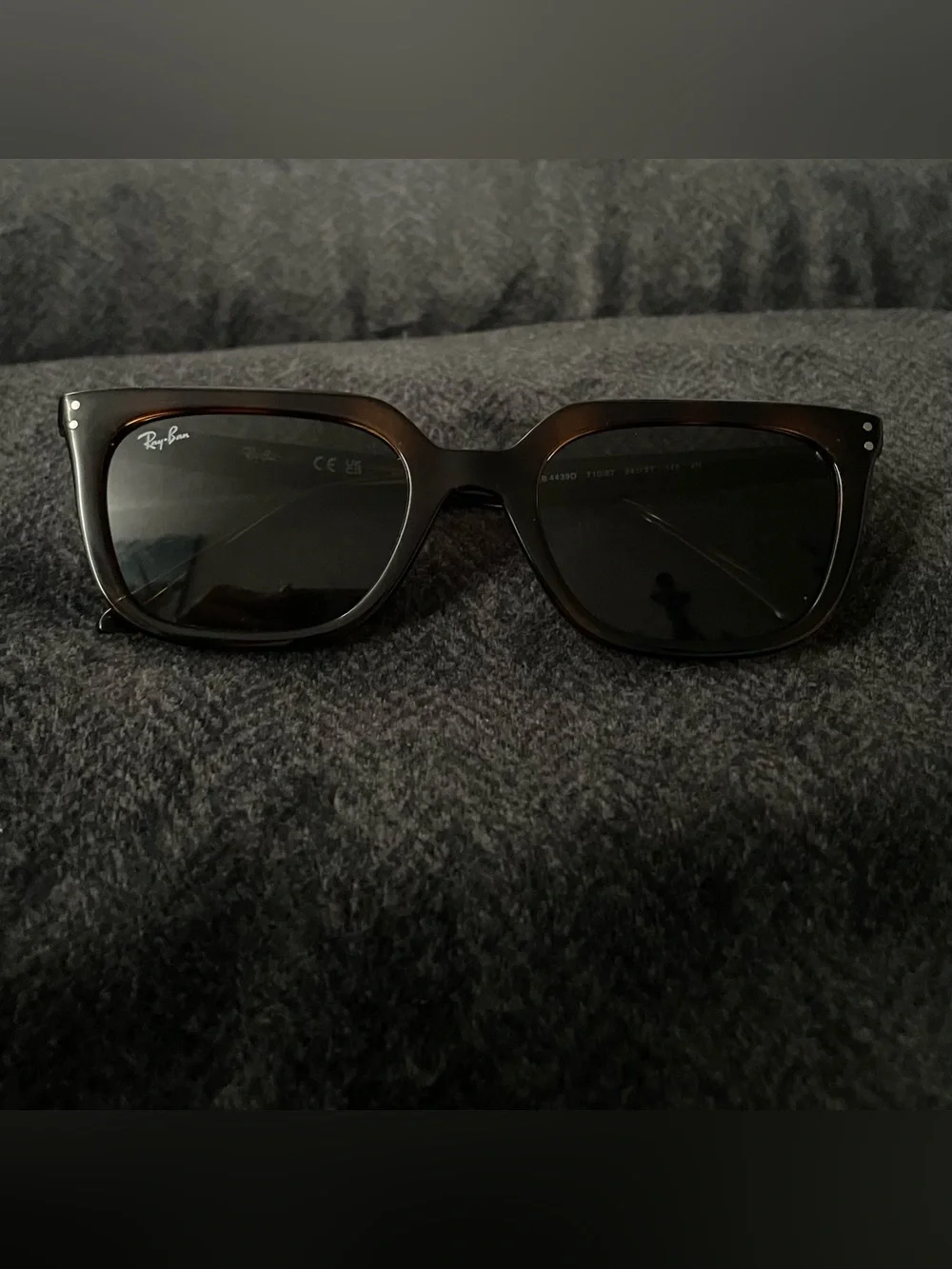 Ray-Ban RB4439D Polished Havana Sunglasses